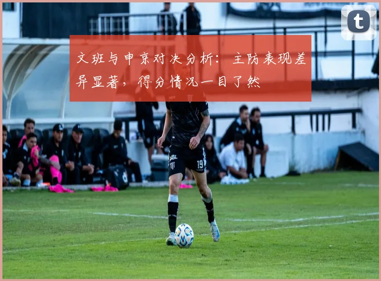 文班与申京对决分析：主防表现差异显著，得分情况一目了然