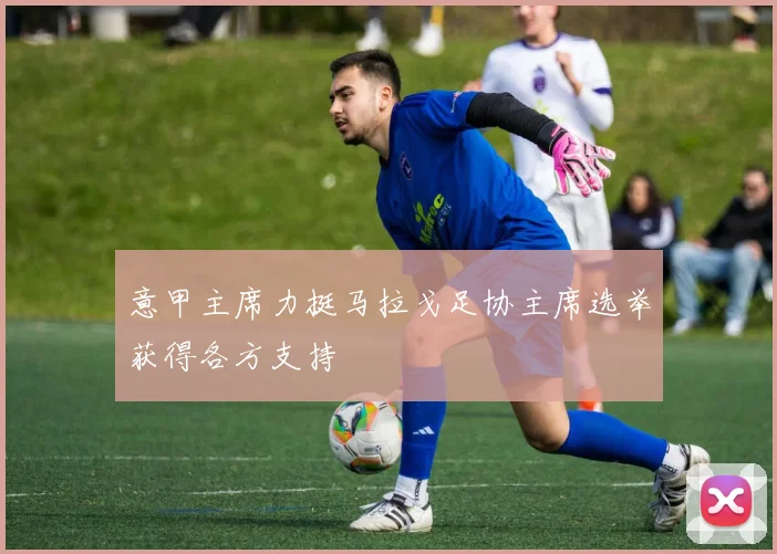 意甲主席力挺马拉戈足协主席选举获得各方支持